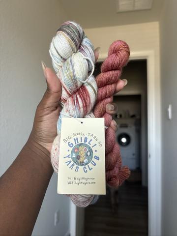 Big Little Yarn Co Sock Set