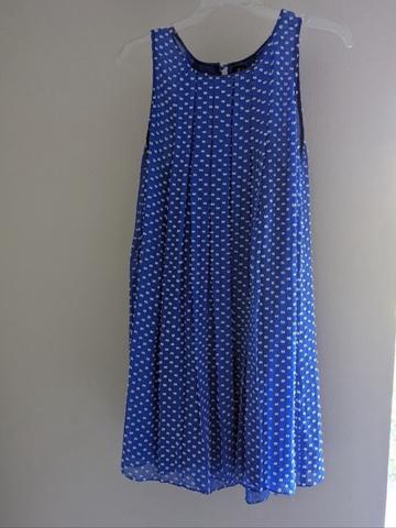 Sachin and Babi shift dress