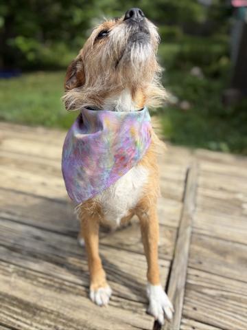 Ice Dyed Cotton Bandana