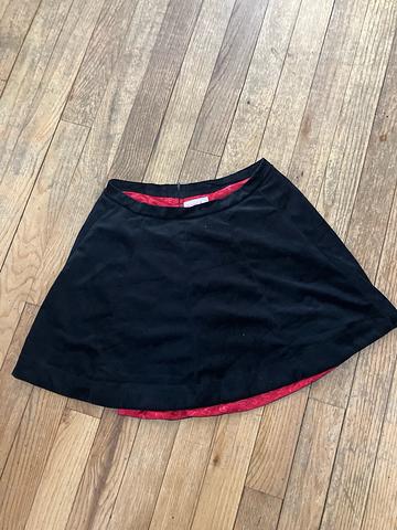 Velvet Skirt