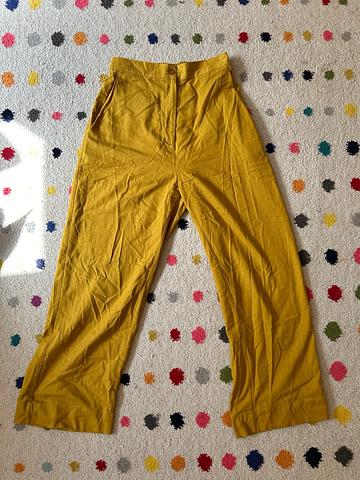 raw silk pants