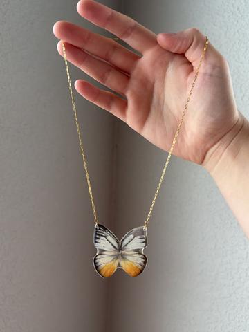 real butterfly wing neckalce