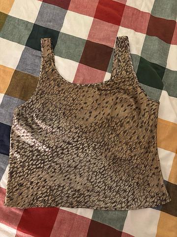 Shimmery Slip Top