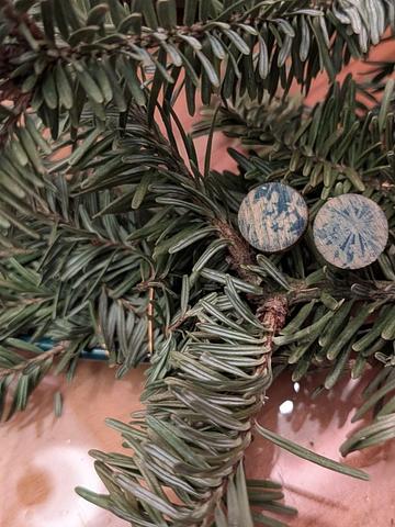 Cyanotype on Birch Stud Earrings