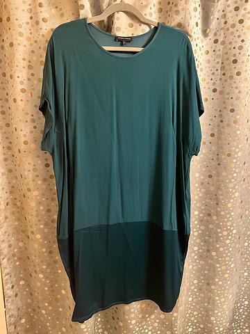 Avenir Dress (Universal Standard S: 14-16)