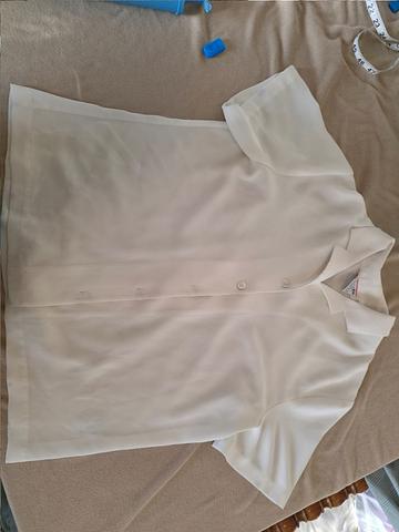 Sheer White Blouse