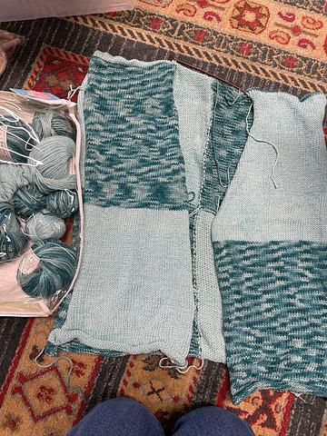 Unfinished knit project