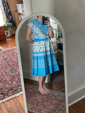 1950s picnic dress