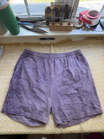 Naturally Dyed Everybody World Shorts