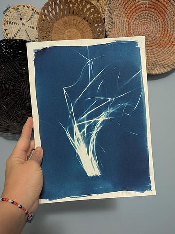 Original, Wild Garlic Cyanotype