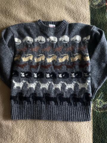 cat/dog wool sweater