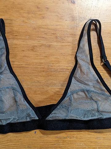 Sheer mesh bra