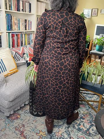 Giraffe Print Shirtdress