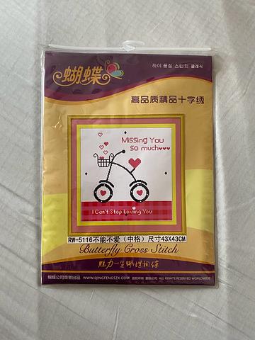 Cross Stitch Kit – “Missing You So Much” Bicycle Design