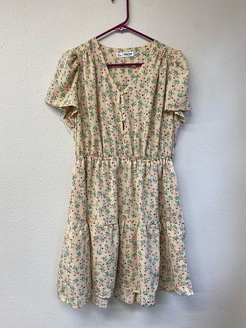 Nicks Dress