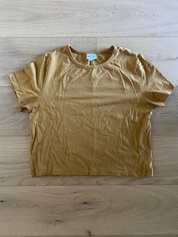 Organic Cotton Cropped Tee in Ginger Spice