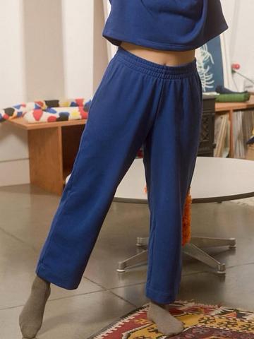 Blue Bernie Sweats