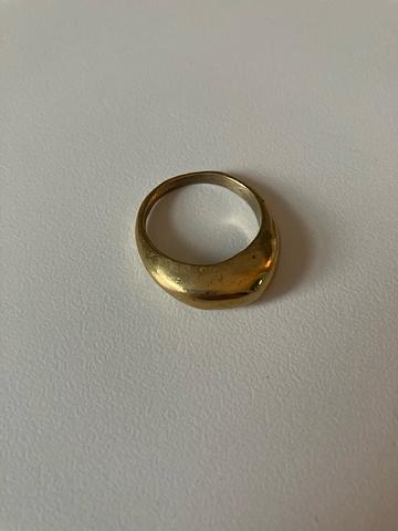 Earth ring