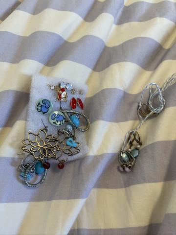 Earring Bundle