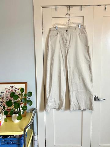 Wide Legged Pants