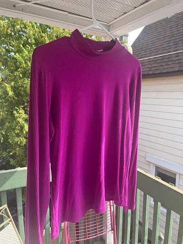 Birds of No America mock neck