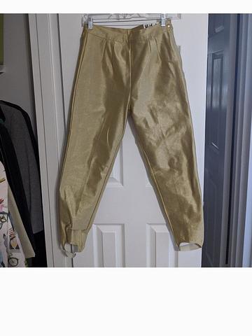Metallic Pants