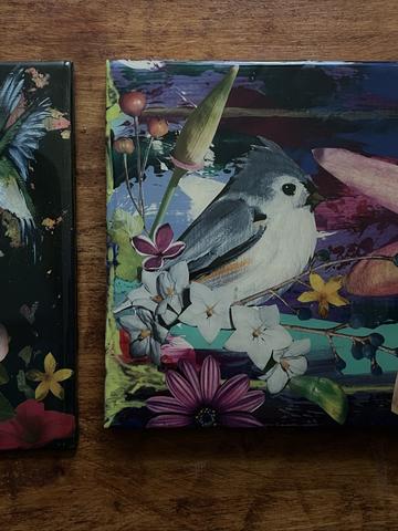 Pair of Signed Original Decoupage Bird Art Wall Hangings - not made by me