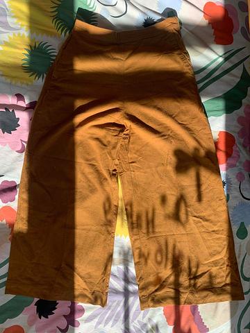 Wide Leg pant in umber raw silk