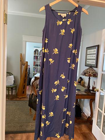 David dart maxi dress