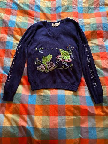 Don’t Expect Miracles Sweater 🐸💋