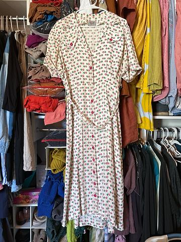Vintage collared dress