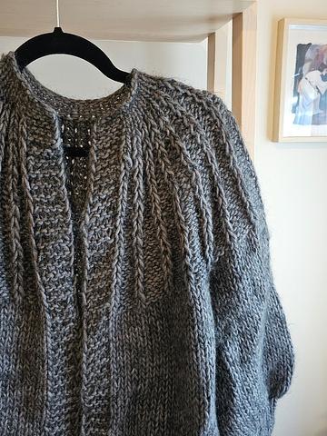 Cardigan no. 2