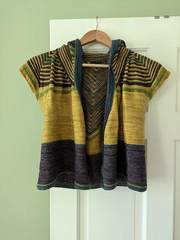 Hoodie Shawl Cardigan