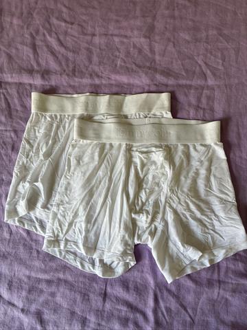 Briefs