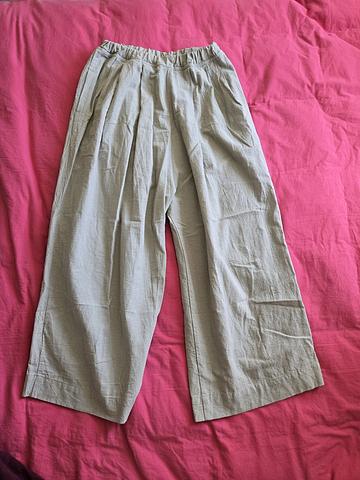 Pleat Pants