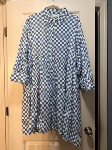 Blue check dress